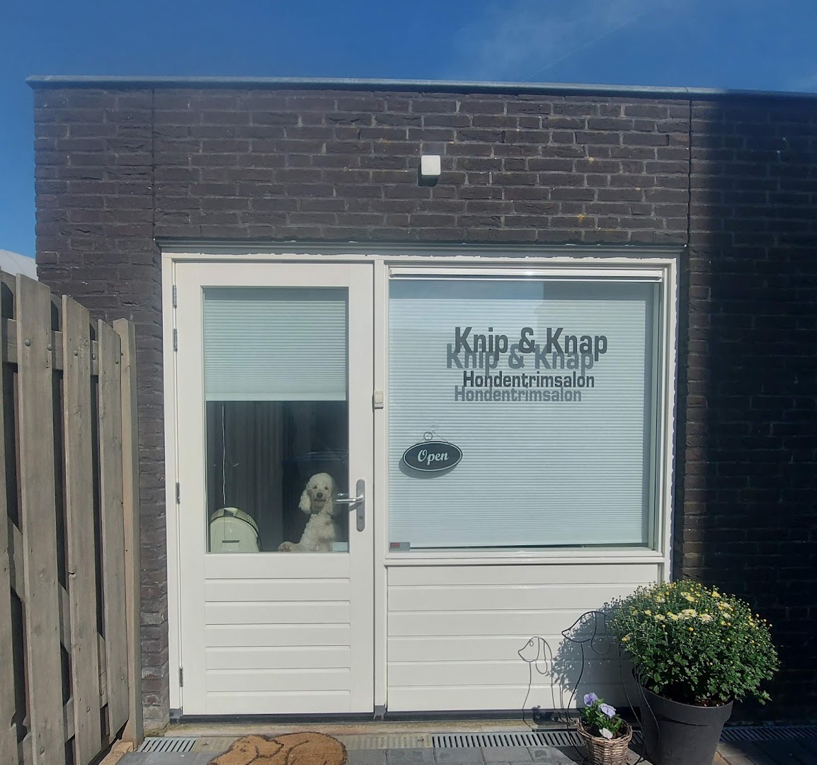 De gevel van Knip & Knap Hondentrimsalon in Rucphen, met een poedel die door het raam kijkt